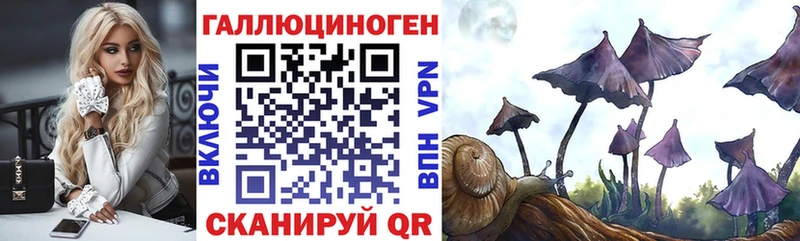 маркетплейс официальный сайт  хочу   Уржум  Псилоцибиновые грибы MAGIC MUSHROOMS 
