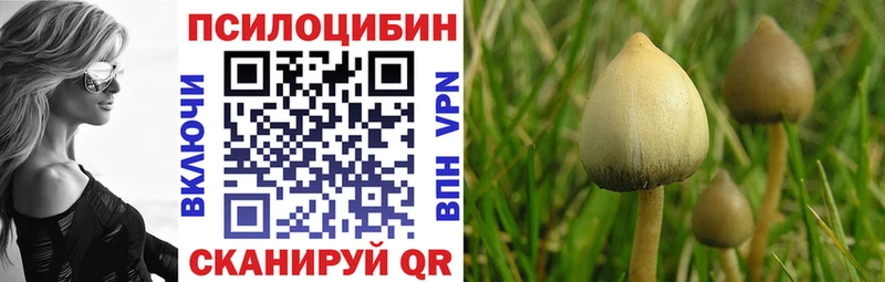 Псилоцибиновые грибы мицелий Уржум